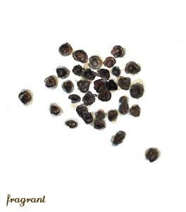 black-pepper