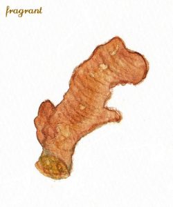 ginger