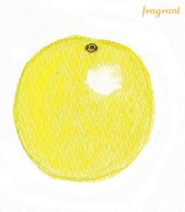 grapefruit